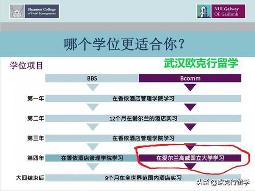 爱尔兰香侬酒店管理学院与国立高威大学酒店管理专业申请详解